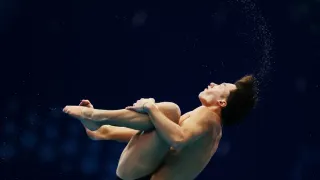 Italian Diver Matteo Santoro Makes History with World Championship Gold