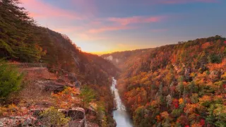Blue Ridge, Georgia: Where Mountain Charm Meets LGBTQ+ Inclusion