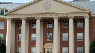 Trump Administration Halts Use of Human Fetal Tissue in NIH-Funded Research